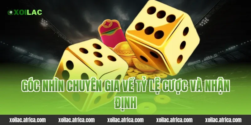 Góc Nhìn Chuyên Gia Về Tỷ Lệ Cược Và Nhận Định