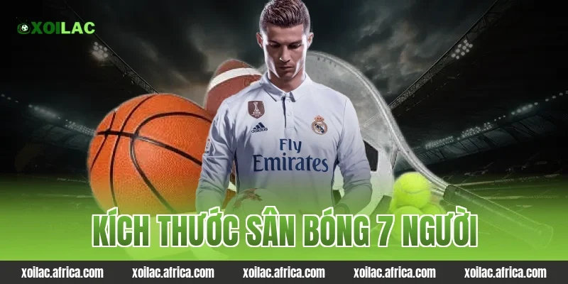 kích thước sân bóng 7 người