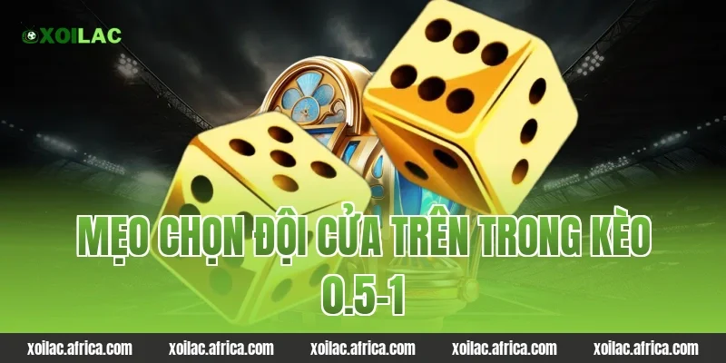 Mẹo chọn đội cửa trên trong kèo 0.5-1