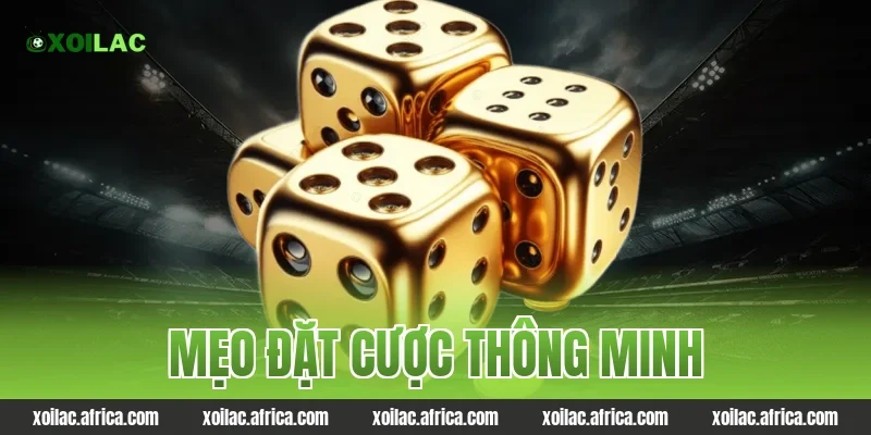 Mẹo đặt cược thông minh