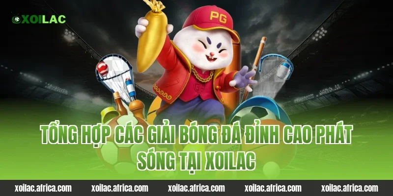 Tổng Hợp Các Giải Bóng Đá Đỉnh Cao Phát Sóng Tại Xoilac